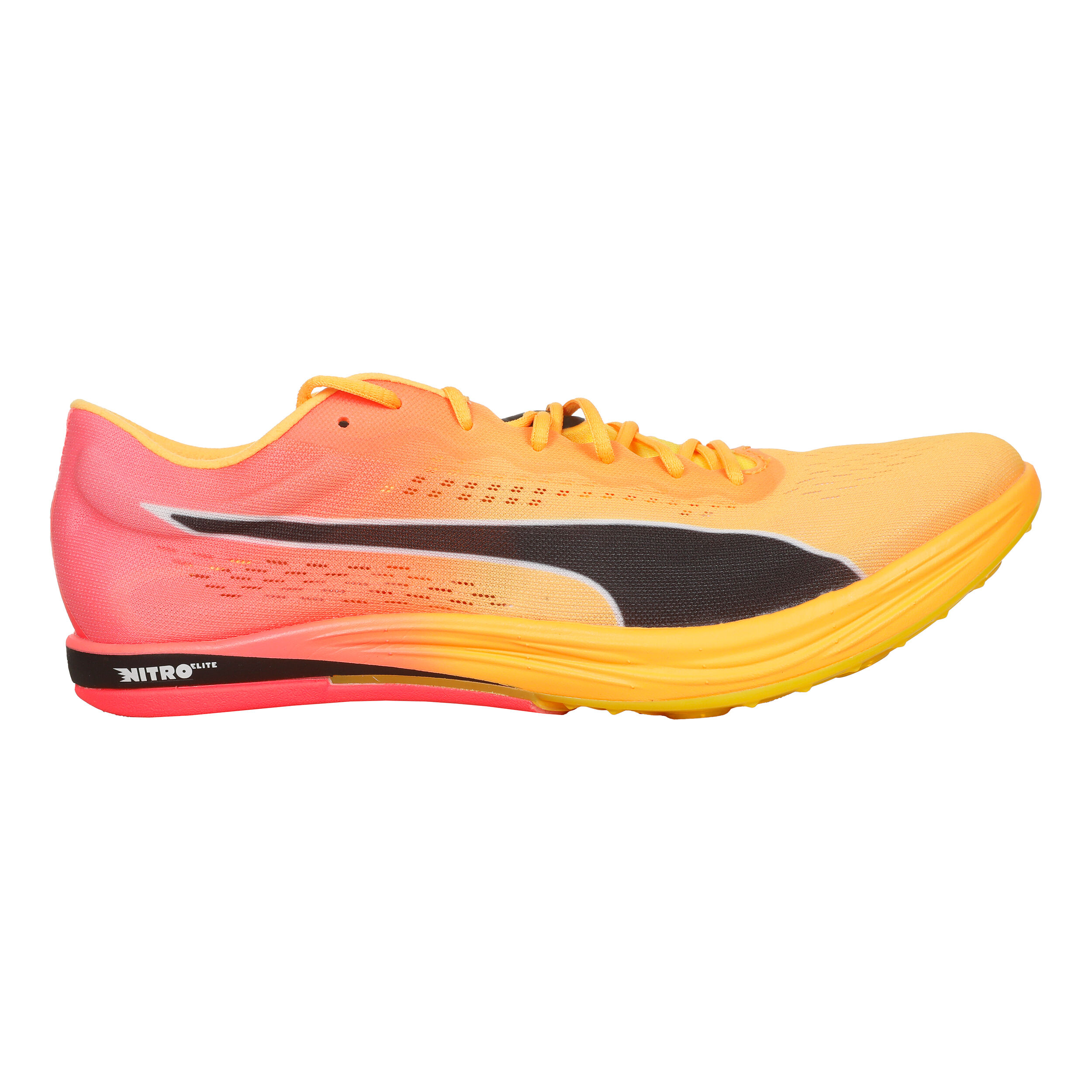 EvoSPEED Long Distance Nitro Elite+ Spike Shoes Men - Orange, Pink